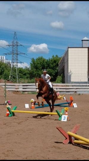 30 мая в нашем центре прошли закрытые соревнования по конному спорту (конкур)