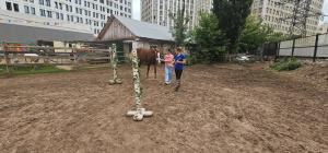 20 июня мы провели праздник «Семейный нетворкинг»